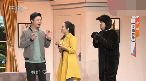 主图-宠物情缘.png
