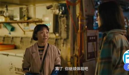 主图-折耳.jpg